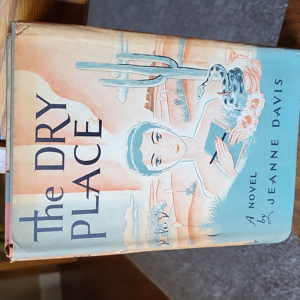 The Dry Place novel by Jeanne Davis